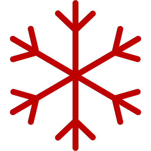 Winter Olympics icon